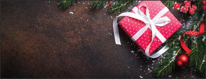 Tips for Charitable Giving this Holiday Season